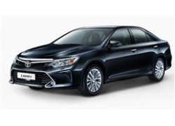 Бесштыревой блокиратор рулевого вала Гарант Форт для Toyota CAMRY 2016-2018 (с механической регулировкой рулевой колонки)